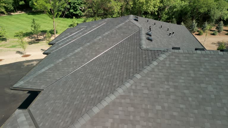 Best Roof Moss and Algae Removal  in Navarre, OH