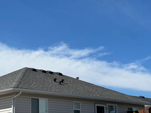 Best Storm Damage Roof Repair  in Navarre, OH